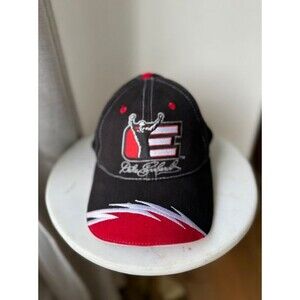 Vintage Dale Earnhardt The Intimidator Winner's Circle NASCAR Strapback Hat